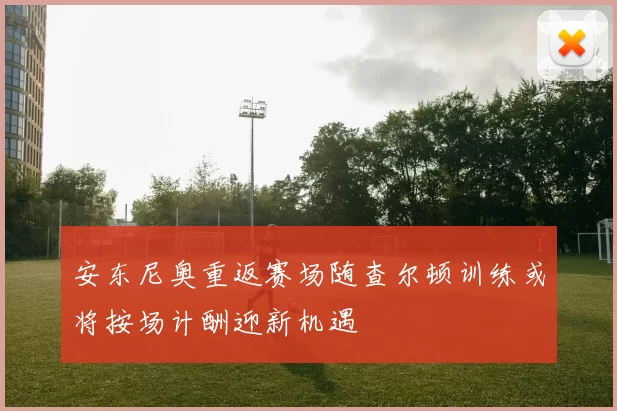 安东尼奥重返赛场随查尔顿训练或将按场计酬迎新机遇