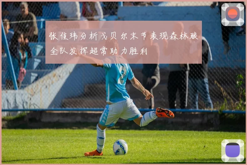 张佳玮分析戈贝尔末节表现森林狼全队发挥超常助力胜利